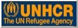 United Nations High Commissioner for Refugees (UNHCR)