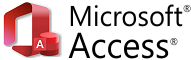 MS Access consulting services