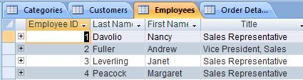 Tabbed view of displaying multiple objects in Microsoft Access 2007